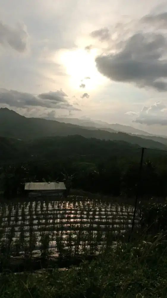 Mencari pekerjaan art yang boleh bawa anak l