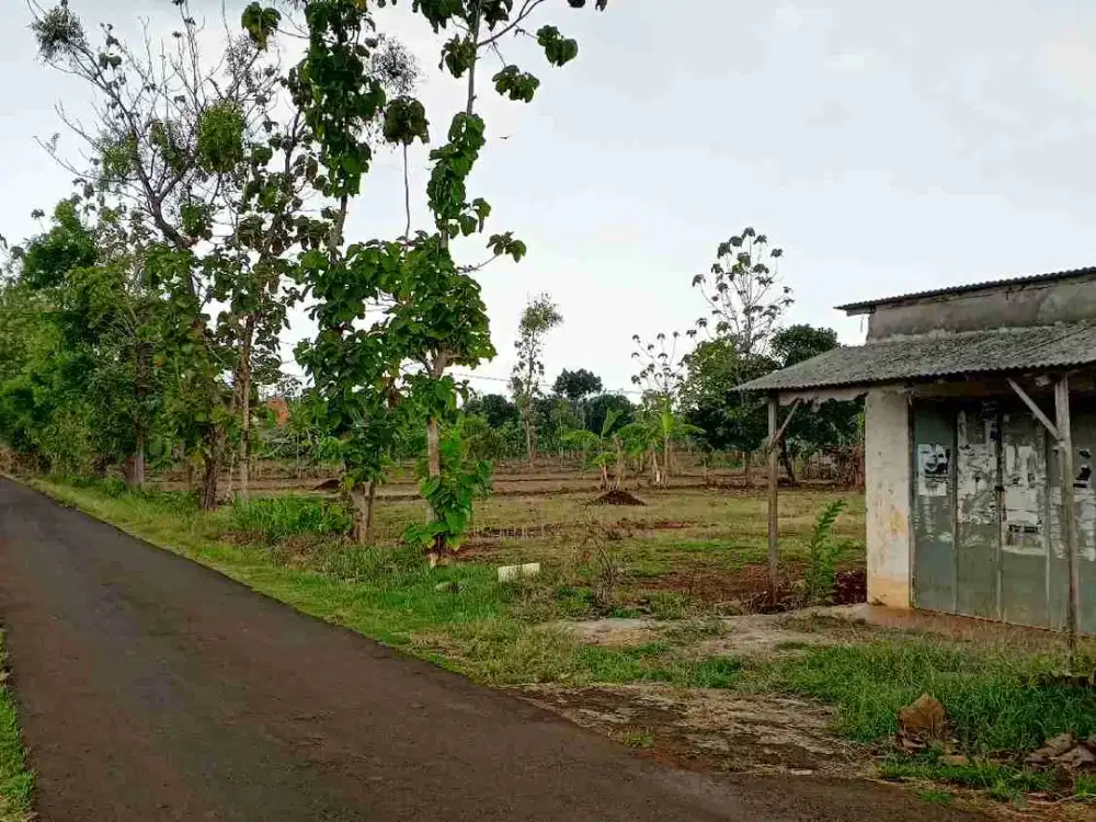 tanah murah 1ha 600ribu/MTR kab tuban