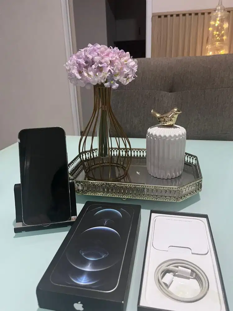 Iphone 12 Pro Max (nego tipis)