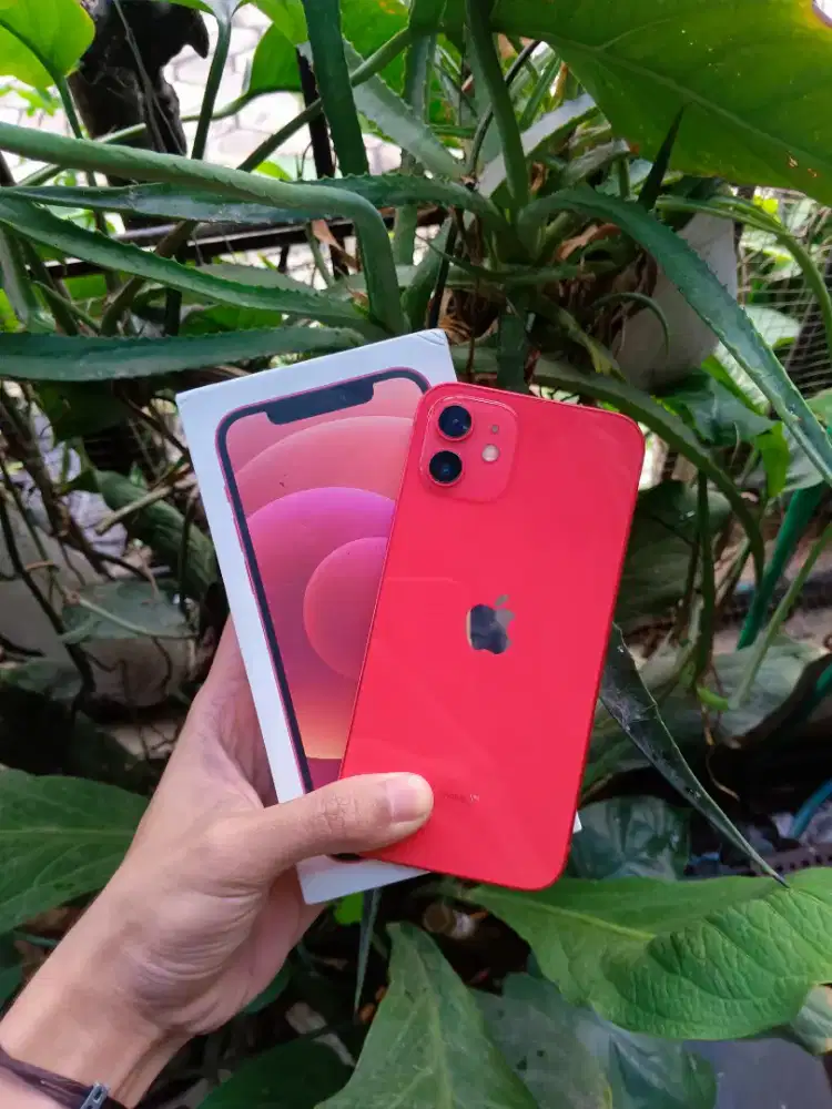 iPhone 12 64 GB Beacukai