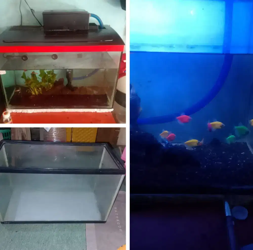 Jual 2AQUARIUM UKURAN 60X30FULSET