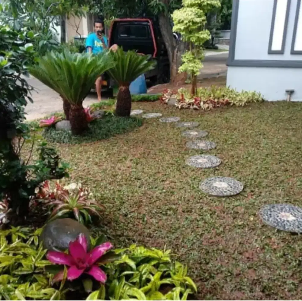 Tukang taman dan kolam koi