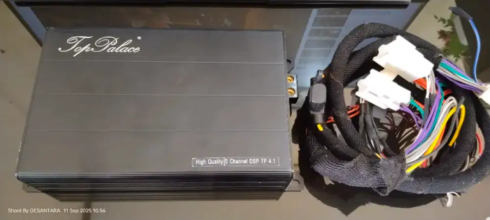 DSP Processor Top Palace