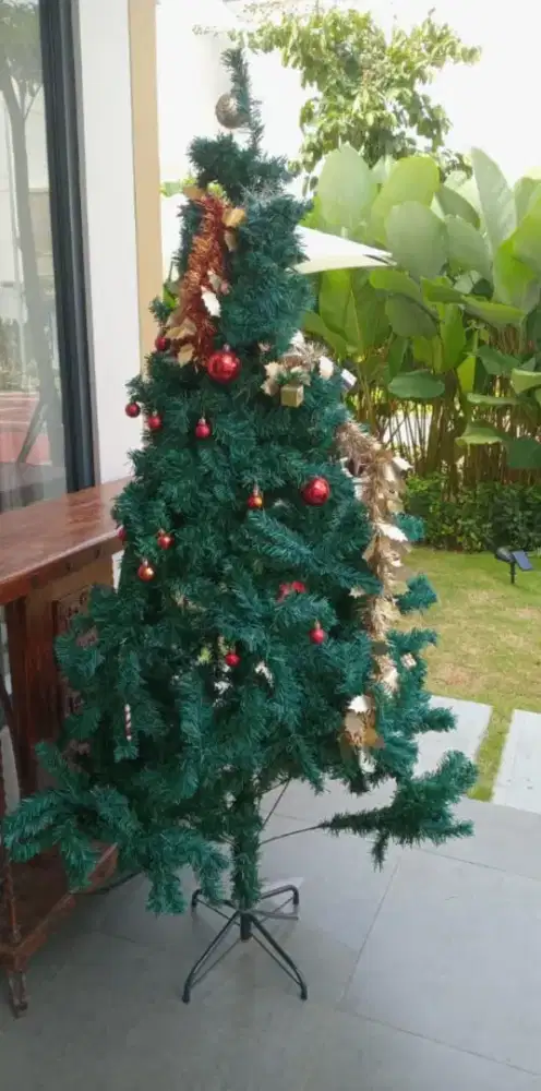 Preloved Pohon Natal

Tinggi +- 160 cm