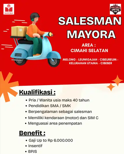 LOWONGAN KERJA SALESMAN MAYORA