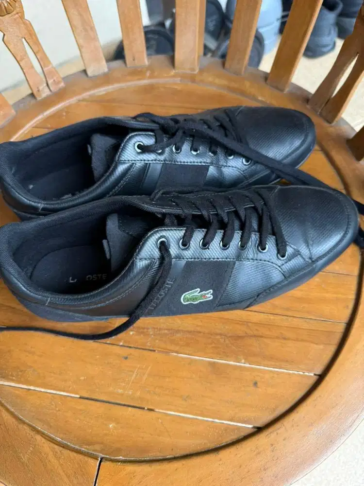 Sepatu Lacoste pria