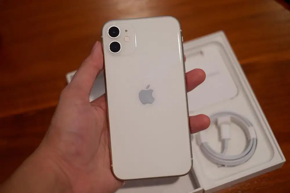 JUAL iphone 11 64gb IBOX Nego!!