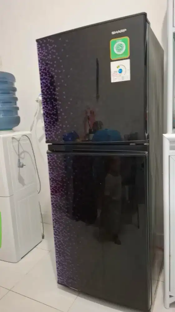 Kulkas Sharp 2 Pintu