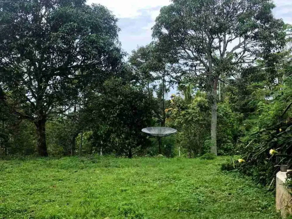tanah dijual kavling villa. pamijahan kaki gunung salak Bogor