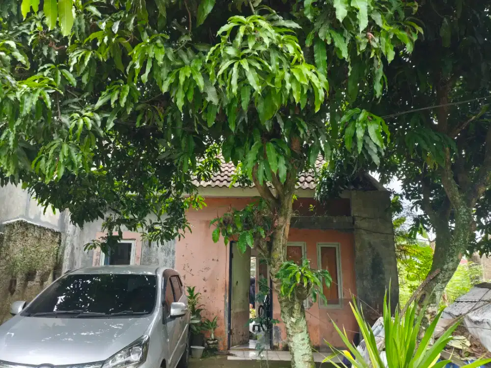 Dijual Murah dan Cepat Rumah