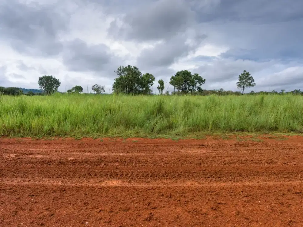 tanah dijual jalan patua surabaya