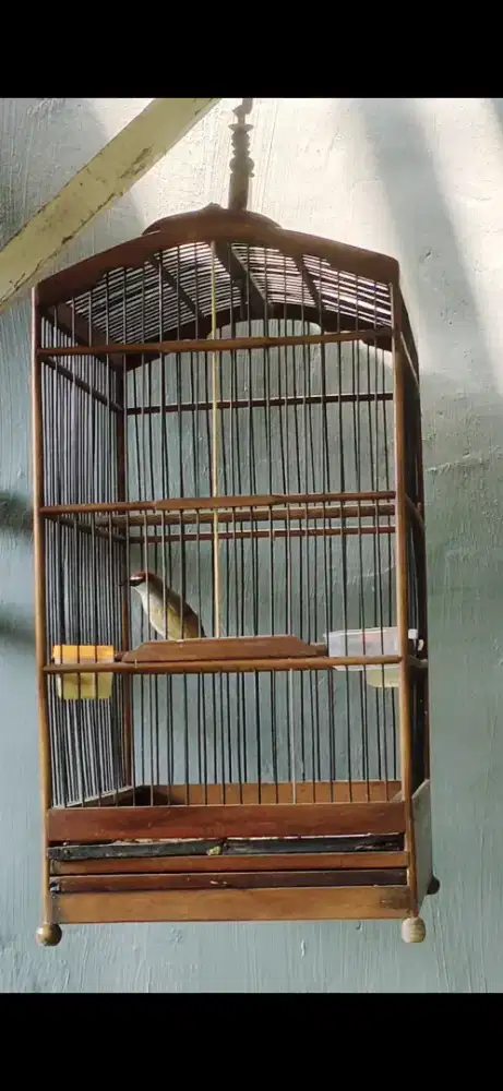 Kaso-kaso Full por Harian Rajin Tarung buka ekor