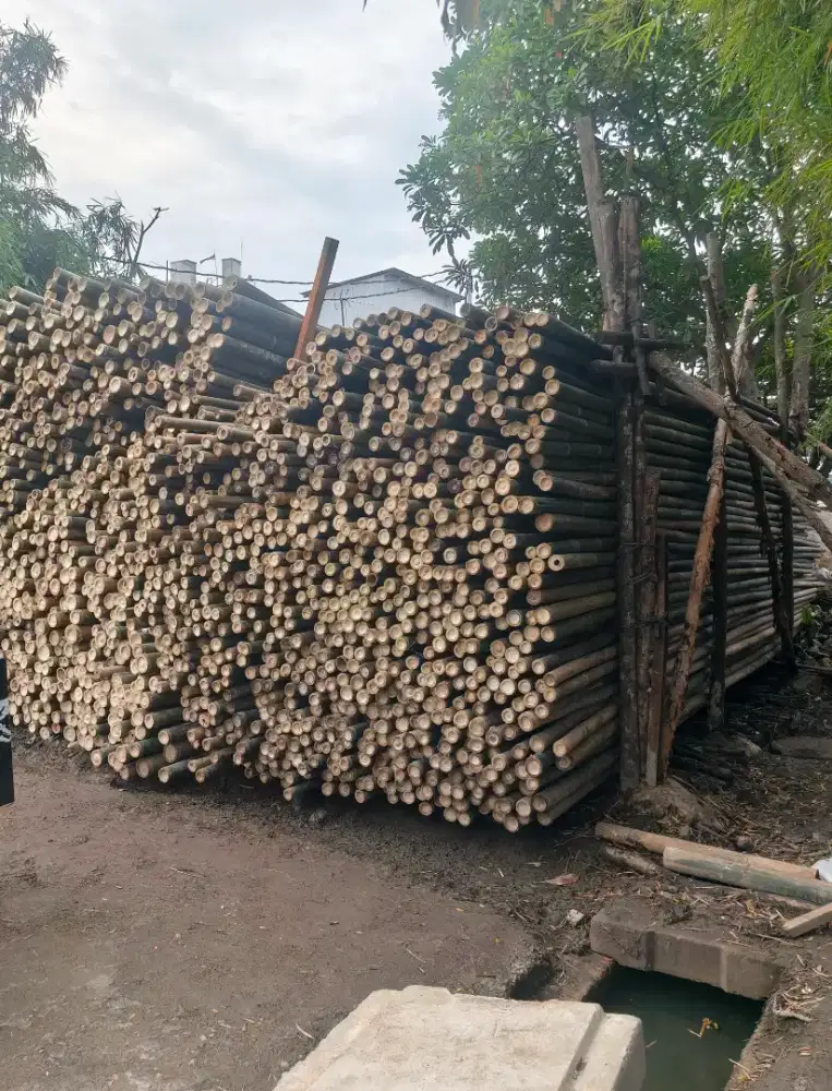 Jual bambu steger cor panjang 6 meter