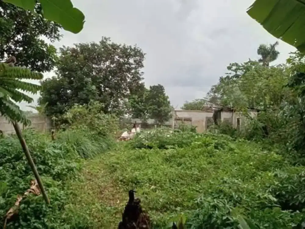 JUAL MURAH TANAH SAWANGAN