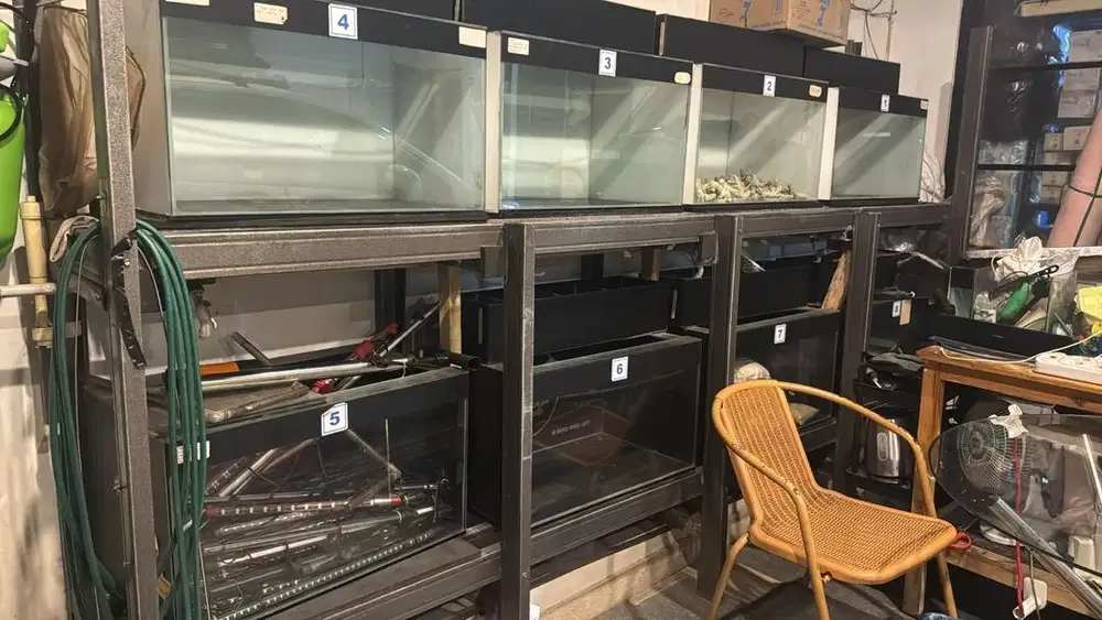 Dijual Aquarium Borongan Eceran bebasss