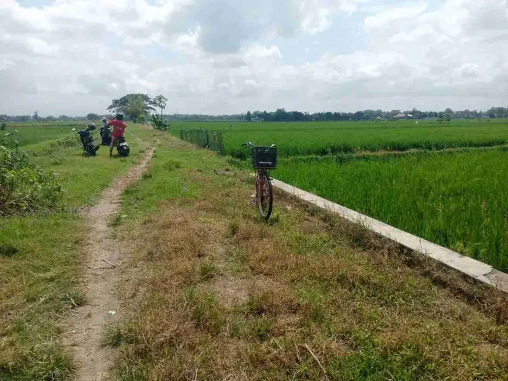 Sawah 2.000m² muka 10m jln 6m panen 3x , 340m jalan DPU sugihan Bendosari sukoharjo :