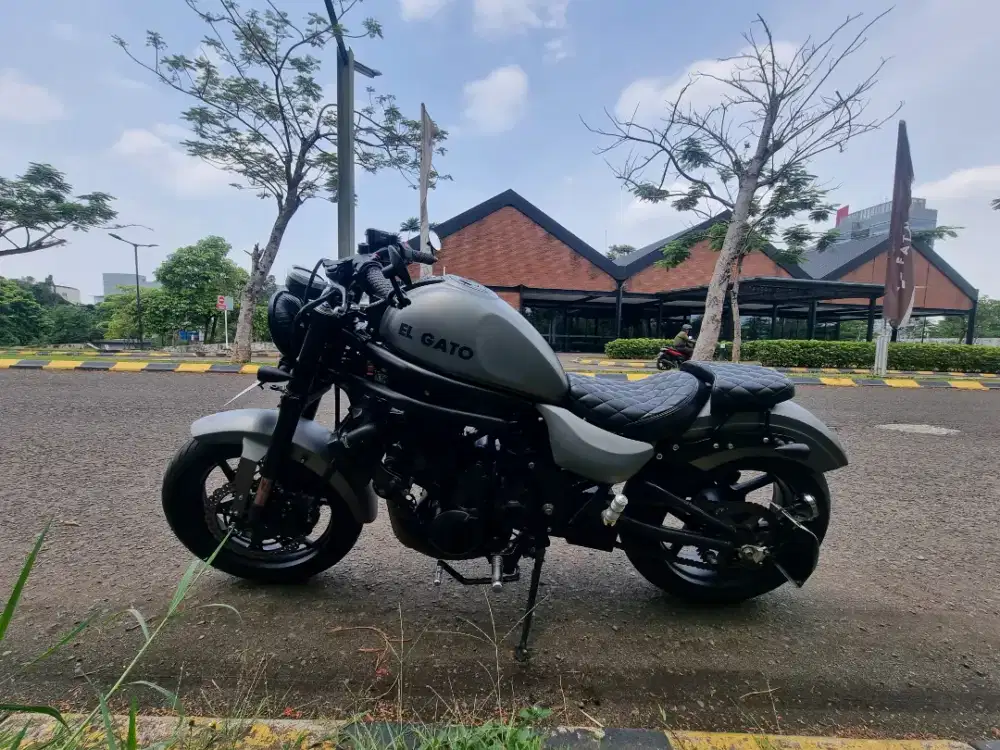 FOR SALE – “EL GATO” Custom Street Bobber