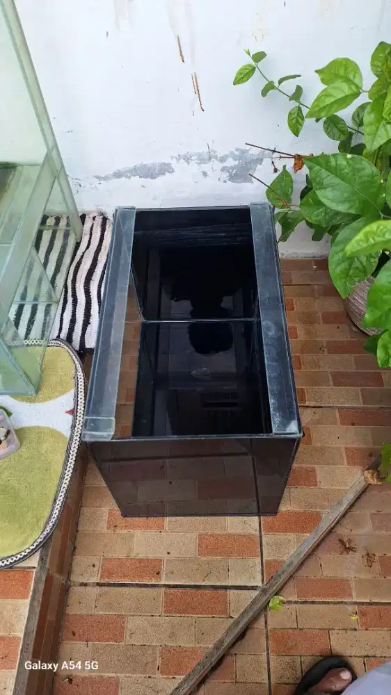 akuarium ukuran 40cm x 25 cm