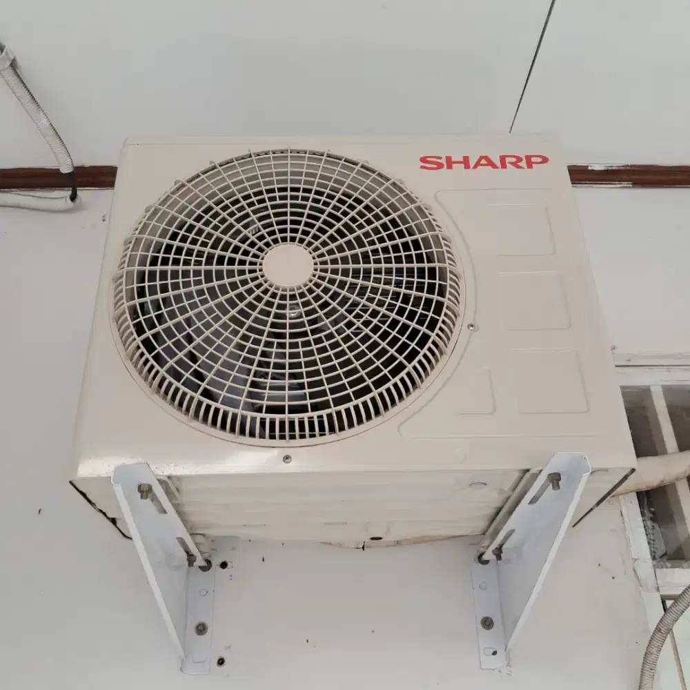 AC SHARP 1/2 PK MULUS