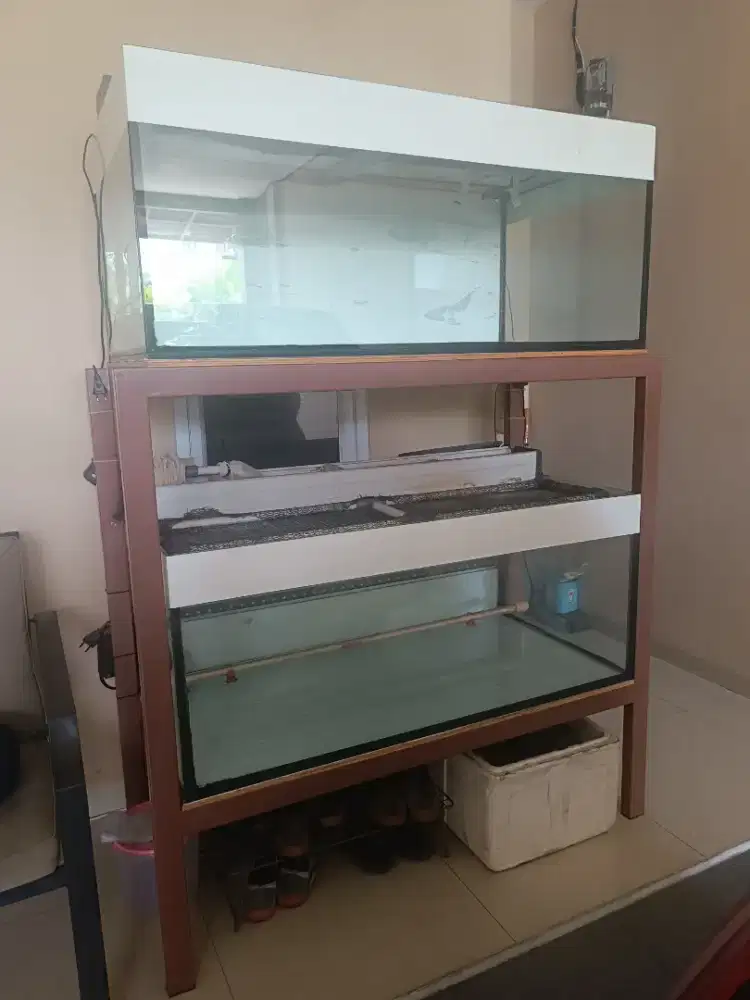 Aquarium 2 susun Set untuk Arowana