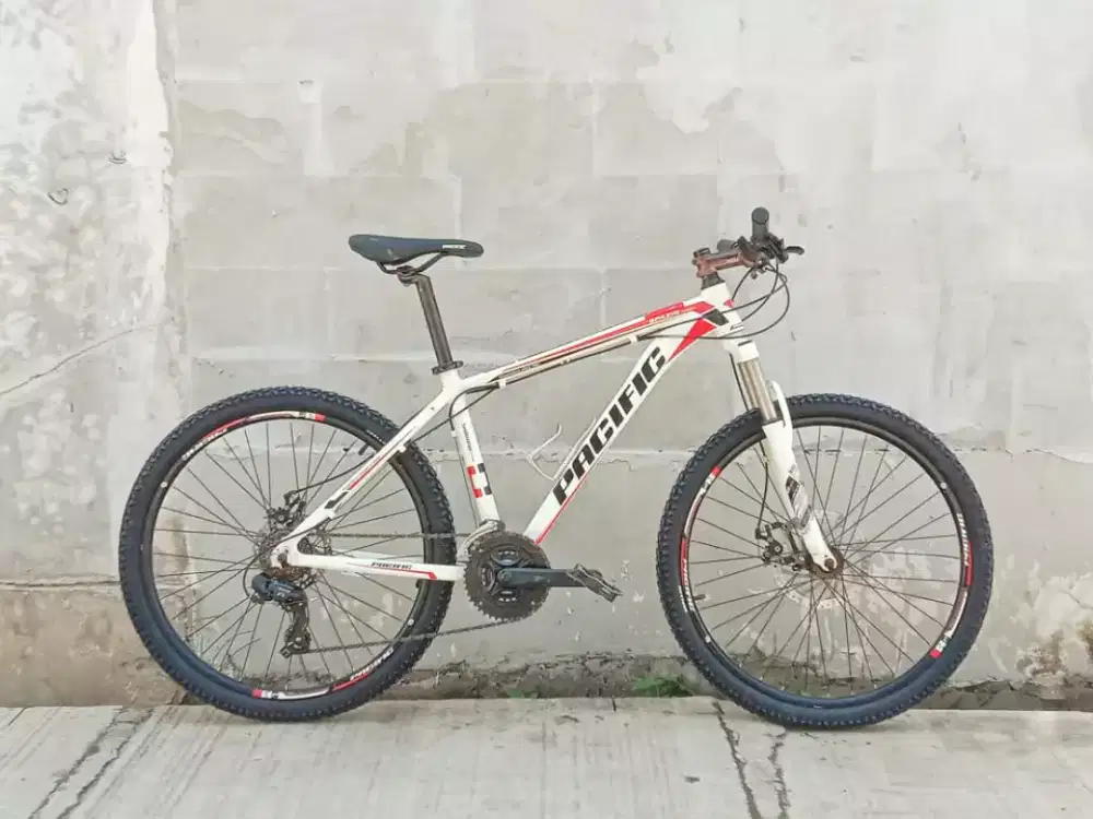 Mtb pacific spazio 1.0