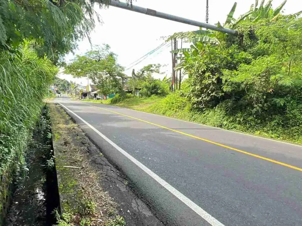 jual tanah pinggir jln senpaaar gilimanuk