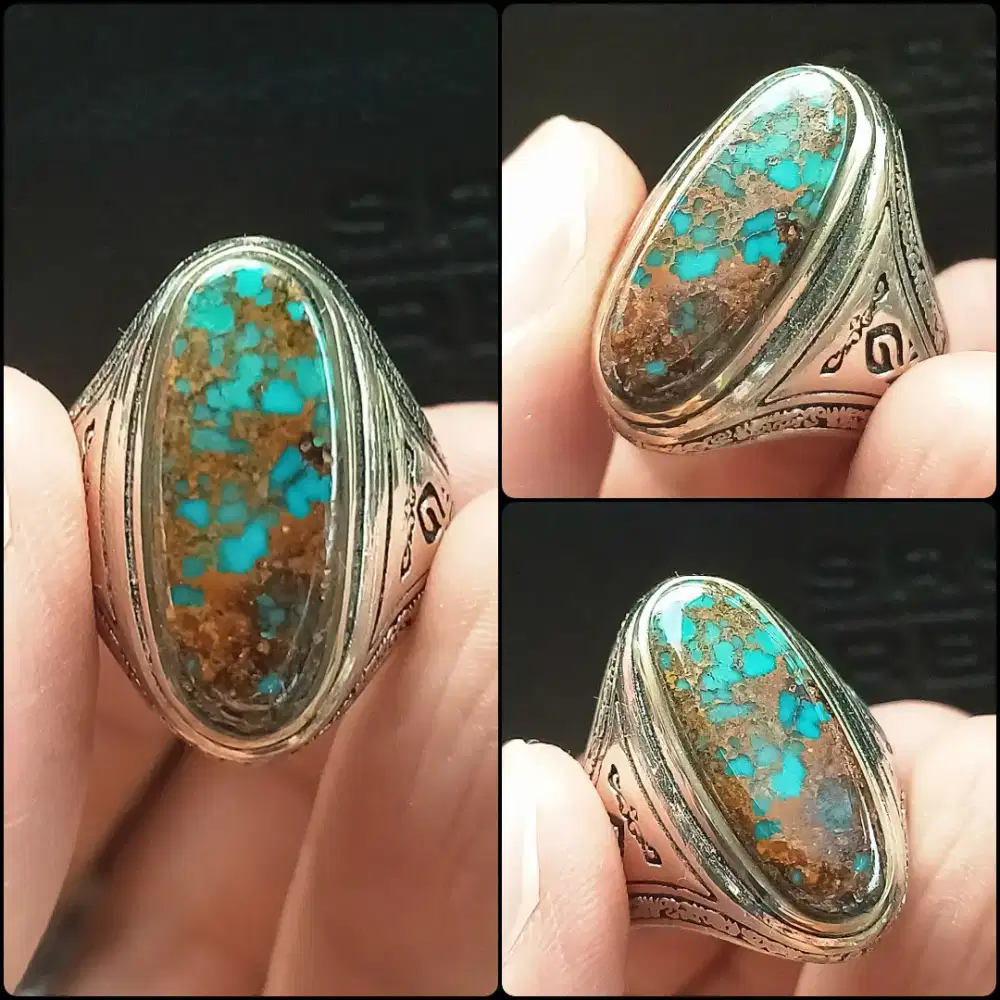 Pirus Persia Urat Emas Lawas