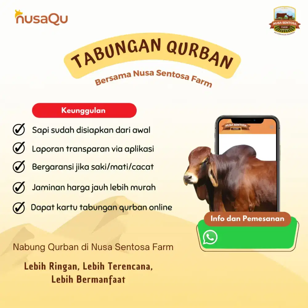 Tabungan Hewan Qurban Qorban Kurban Korban  Sapi Kambing Domba