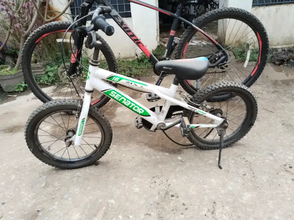 Sepeda senator kecil