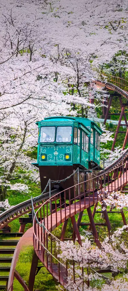 Loker Accounting Bogor