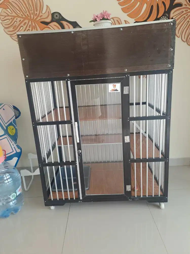 Rumah kucing atau kandang kucing