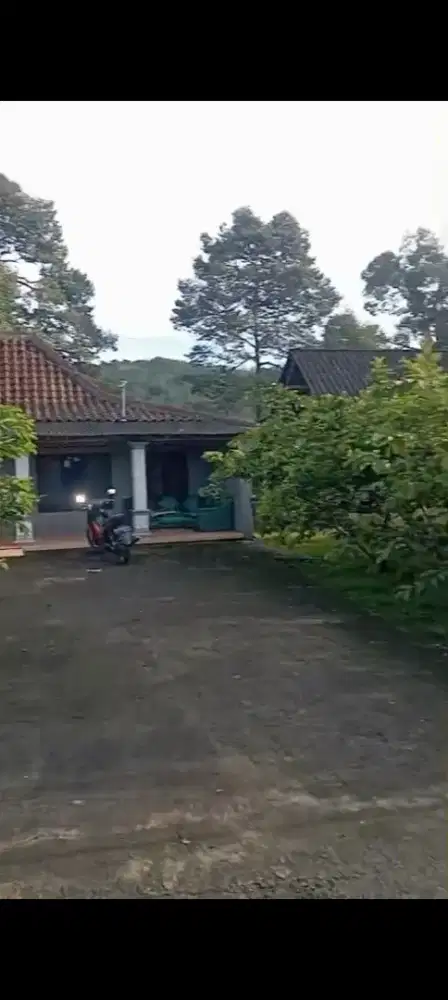 Jual rumah Limasan jati asli lokasi kemuning luas tanah 680m hrg 550jt