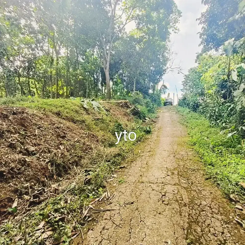 Jual kebun durian lokasi karangpandan luas 1500m hrg 425jt nego