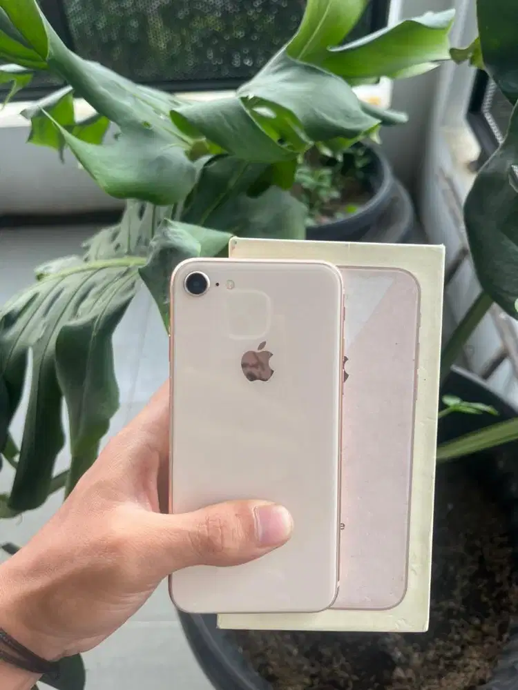 iphone 8 64gb ex internasional murah bu