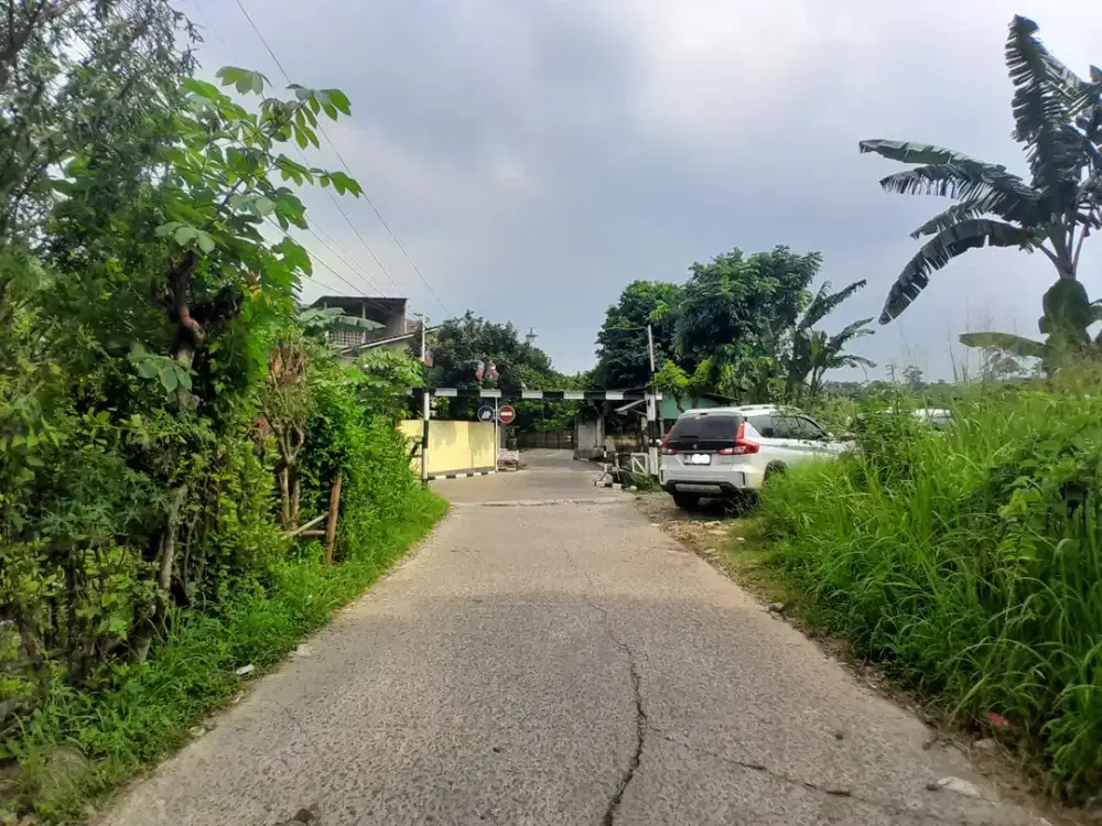 TANAH KAVLING MURAH di CIANGSANA DEKAT KOTA WISATA