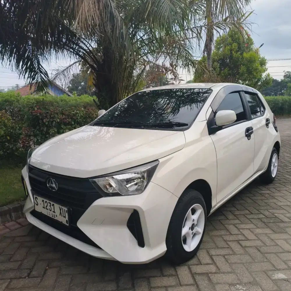 Ayla 2023 manual istimewa