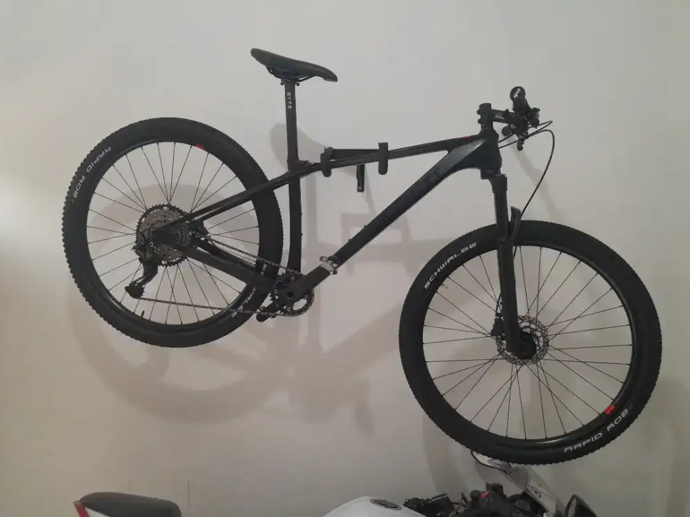 Sepeda mtb 29 er Dominat cxc karbon size M