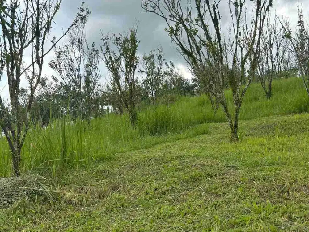 Dijual Cepat Tanah murah di Bali,Angseri batu riti dkt tpt wisata pemandian air panas jati luih