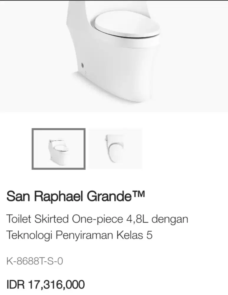 Closet Kohler ada 3 buah borongin  tipe San Raphael ada 3 buah