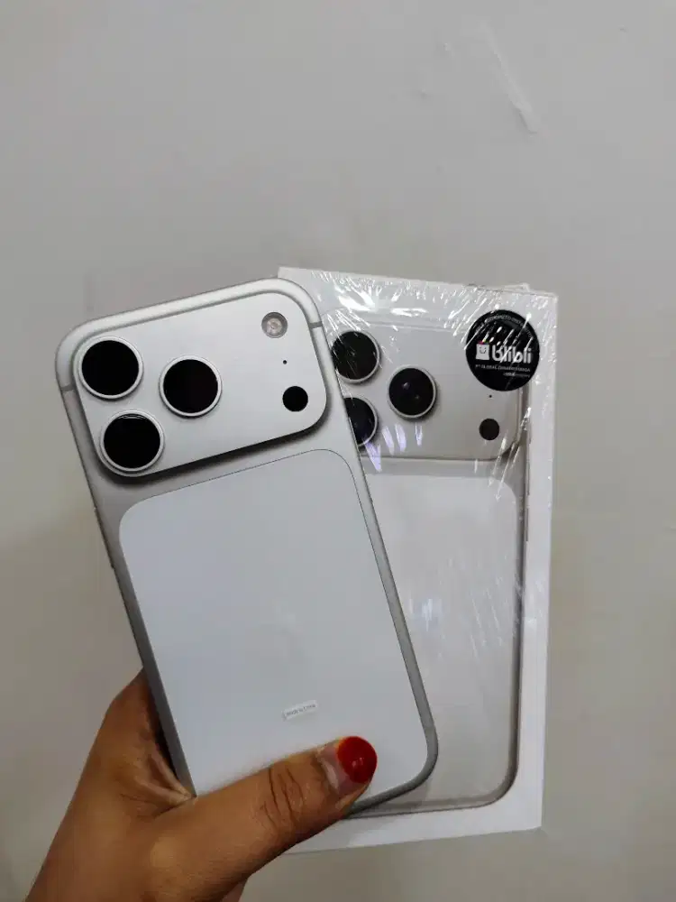 17 PRO 256 SILVER SECOND IBOX