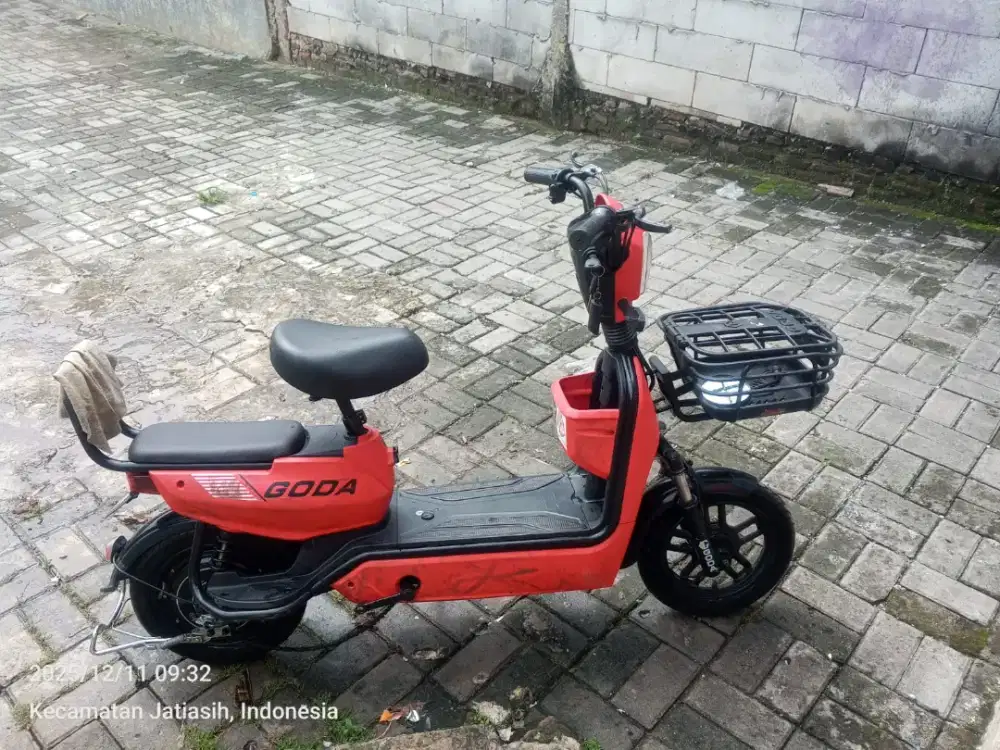 selis goda 149 golden monkey