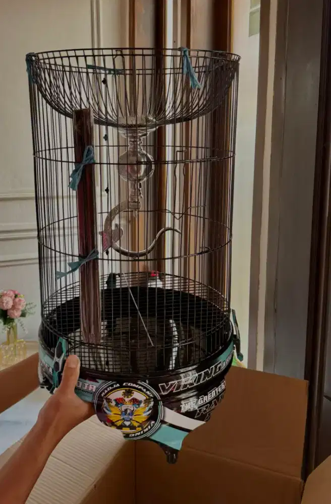 sangkar lovebird viking arena da oriq 3D