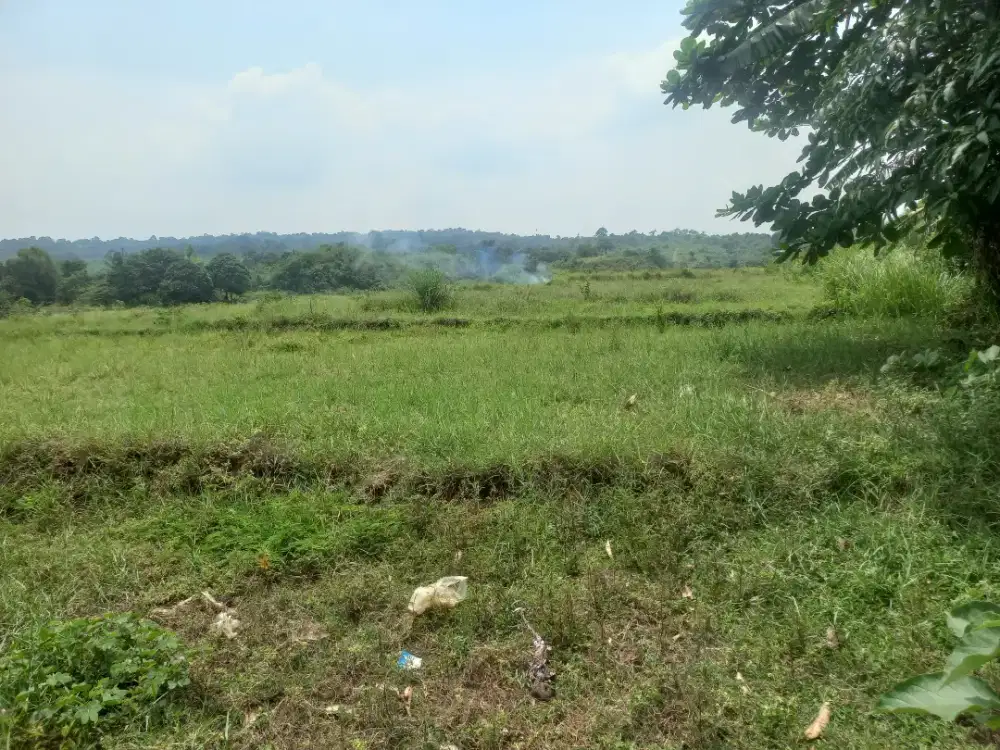 DI JUAL TANAH  MURAH