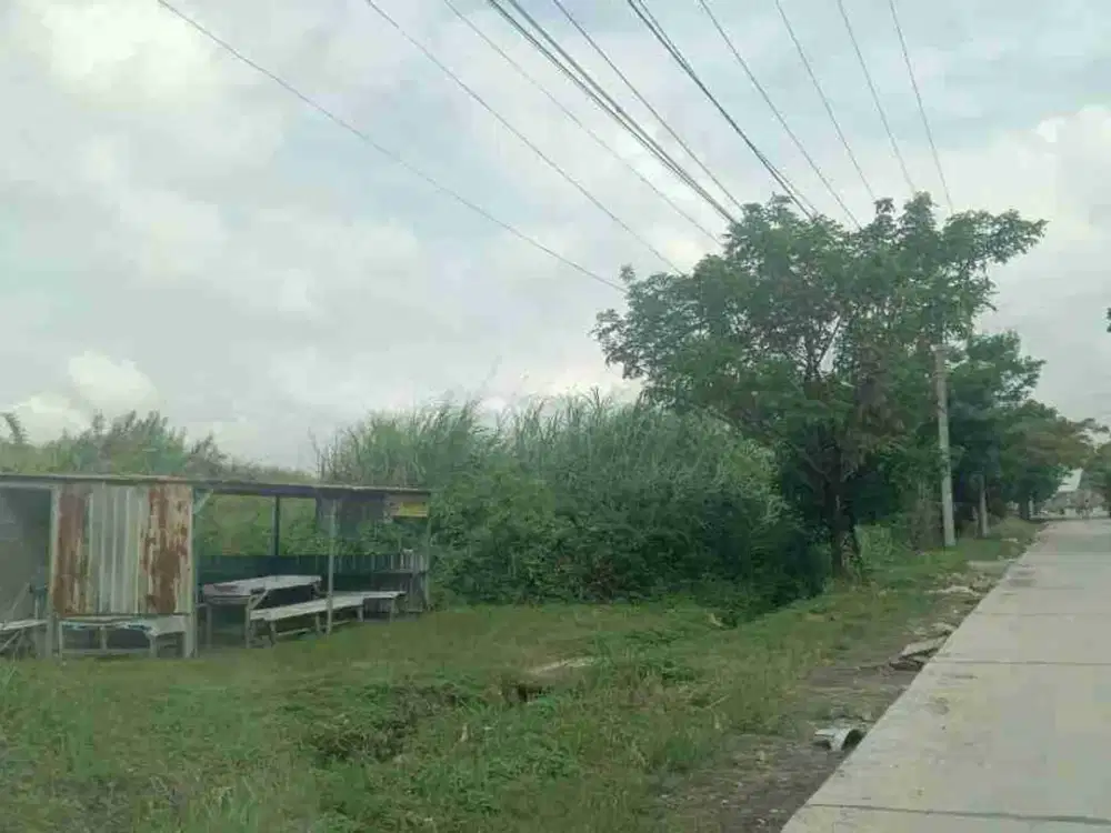 Dijual Kavling Gudang Tanah Industri Kawasan Industri Candi Luas 1 Hektar Kotak SHM Gatot Subroto Semarang