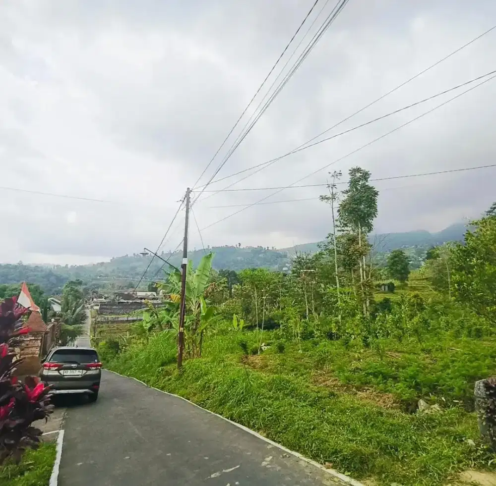 Tanah murah kemuning