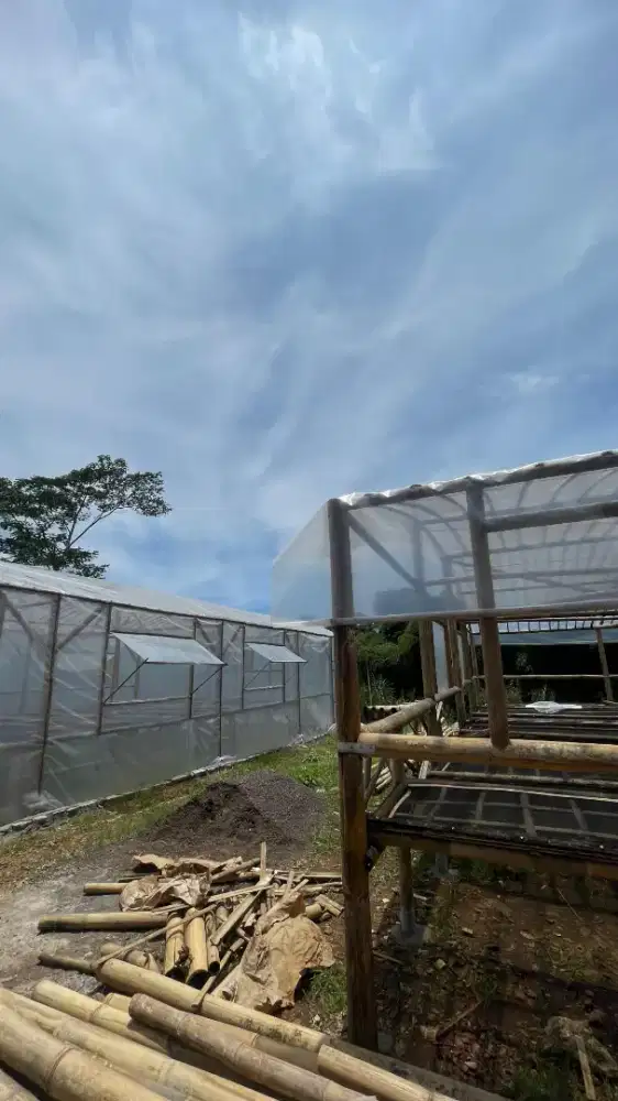 Dibutuhkan pengasuh anak sekaligus ART MENGINAP