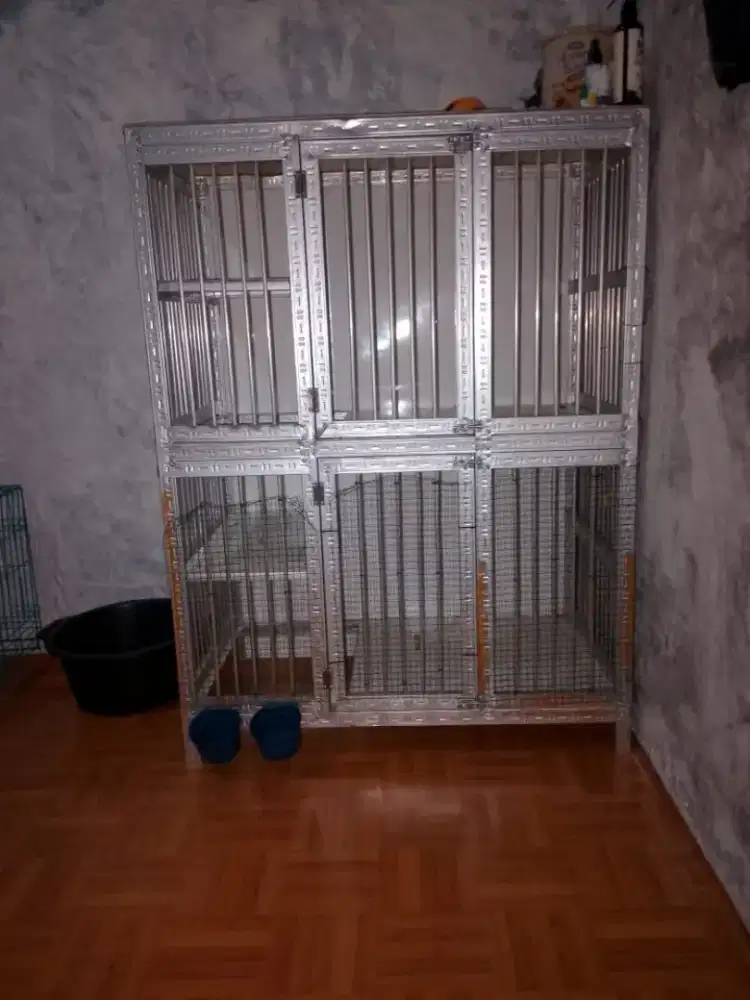 Kandang kucing dan tempat main kucing