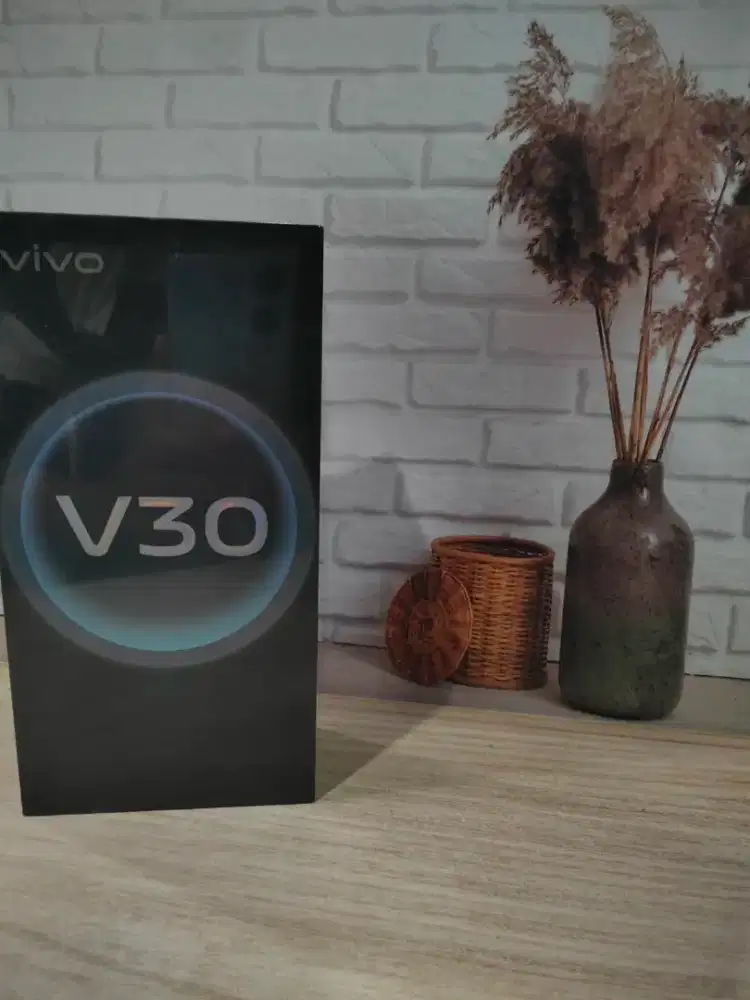 HANDPHONE Vivo v30