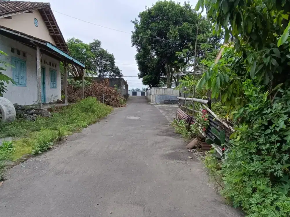 Tanah Siap Bangun 50 Meter Jl. Jogja Solo Prambanan Free Desain Rumah - 2