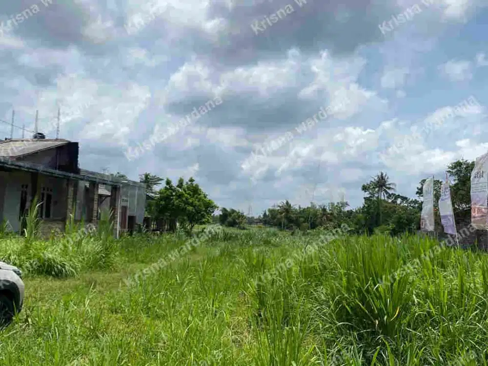 Cicilan 12X Tanpa Bunga Tanah Pandowoharjo 5 menit Masjid Suciati Sleman